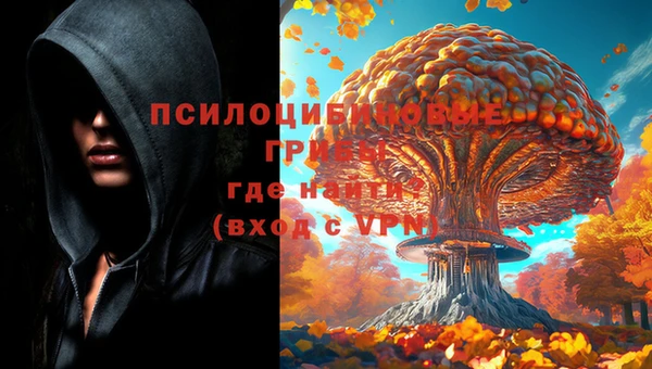 мет Дмитровск