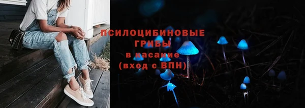 герыч Дмитриев