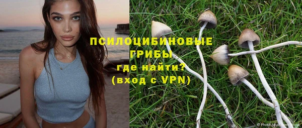 герыч Дмитриев