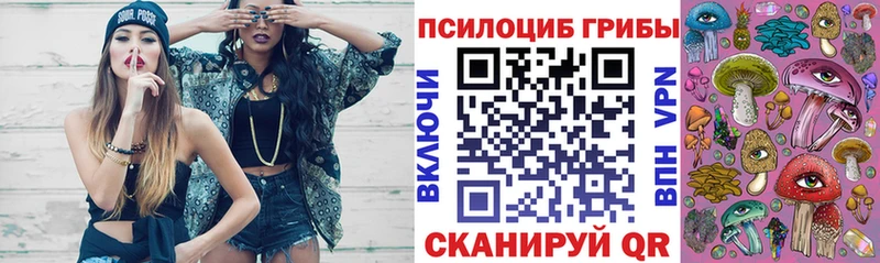 как найти закладки  Фролово  Псилоцибиновые грибы Magic Shrooms 