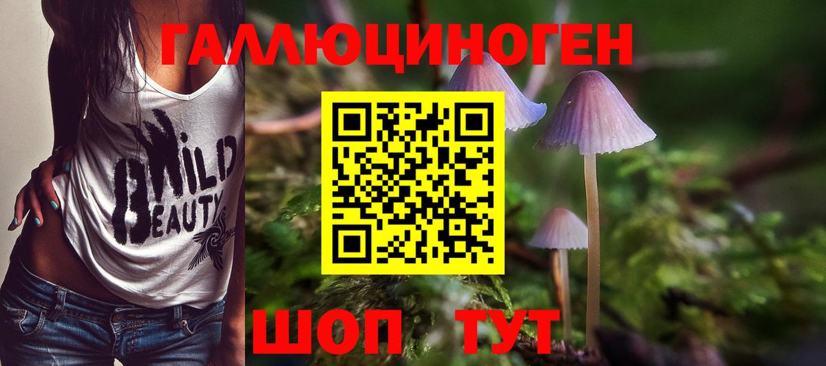 Псилоцибиновые грибы GOLDEN TEACHER Фролово