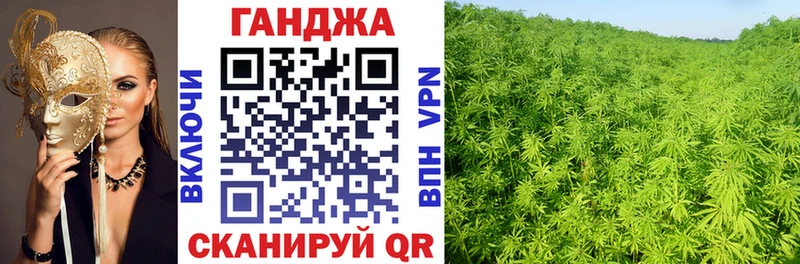 Каннабис план  Фролово 